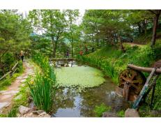 제13회 아름다운 괴산 전국사진공모전_2021년(가작)