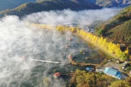 제12회 아름다운 괴산 전국사진공모전_2020년(입선)