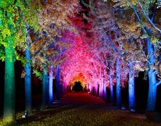 제13회 아름다운 괴산 전국사진공모전_2021년(가작)