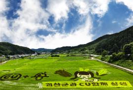 제13회 아름다운 괴산 전국사진공모전_2021년(입선)