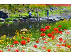 제17회 아름다운 괴산 관광사진 전국 공모전