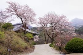 제12회 아름다운 괴산 전국사진공모전_2020년(입선)