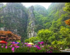 2015 전국사진공모전(입선)