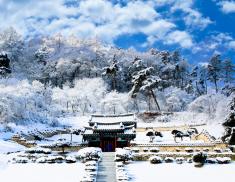 제13회 아름다운 괴산 전국사진공모전_2021년(입선)