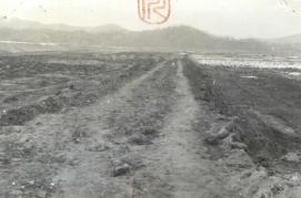 1975년 감물면 화전민 이주농경지