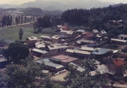 1977년도 불정면 목도리 가동 마을전경