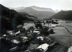 1977년 불정면 목도리 마을전경