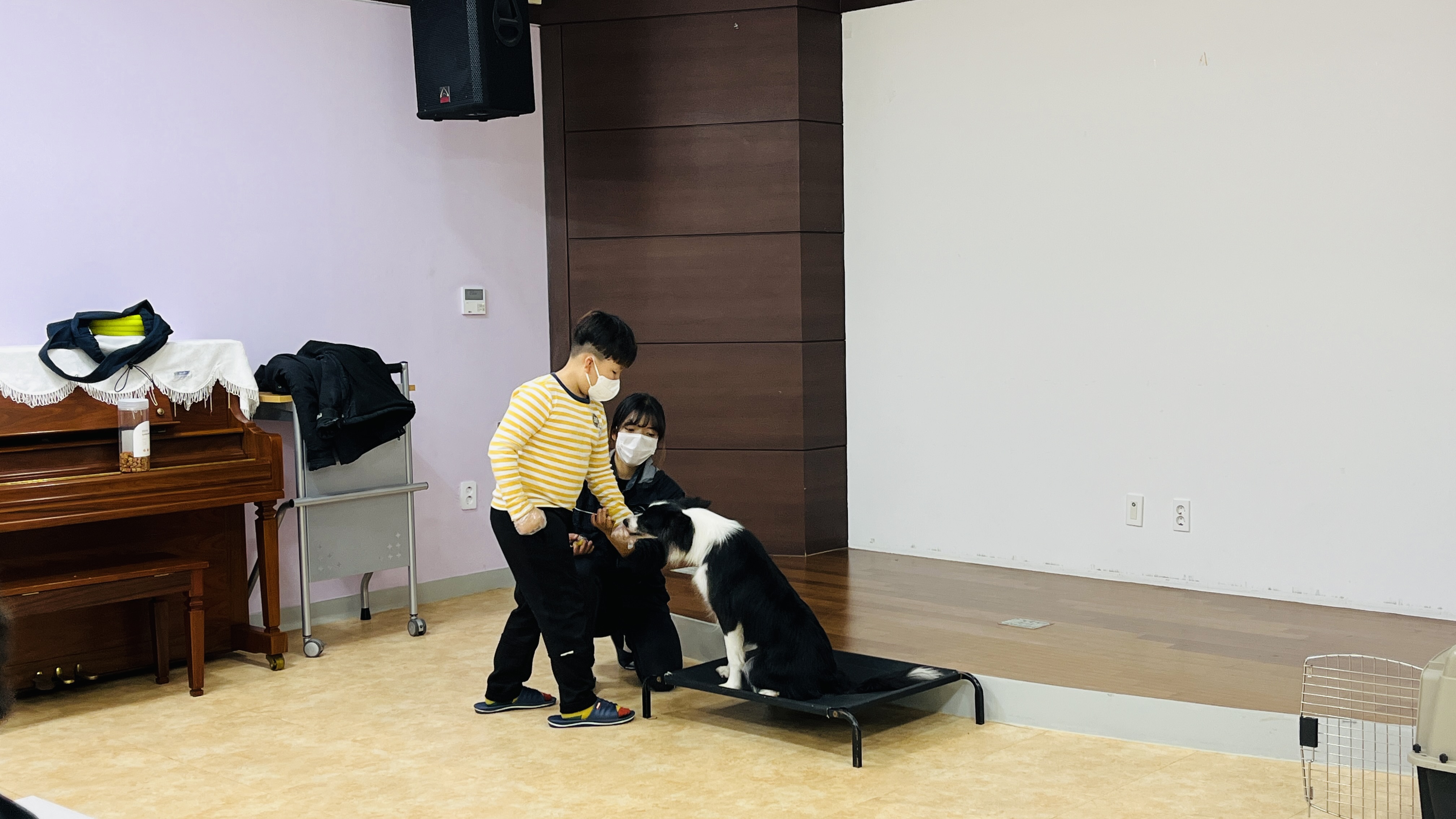221110 반려견 이미지4