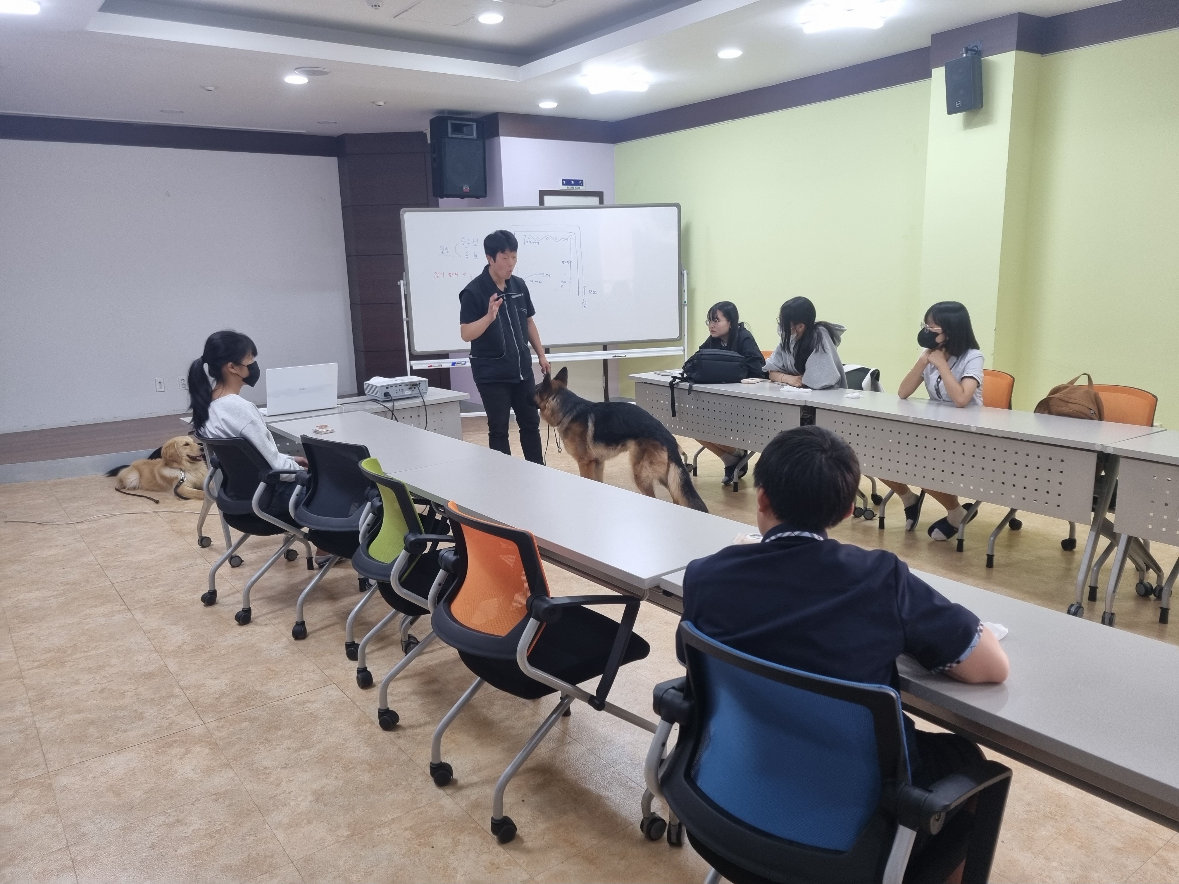 230525 동물행동교정 이미지3