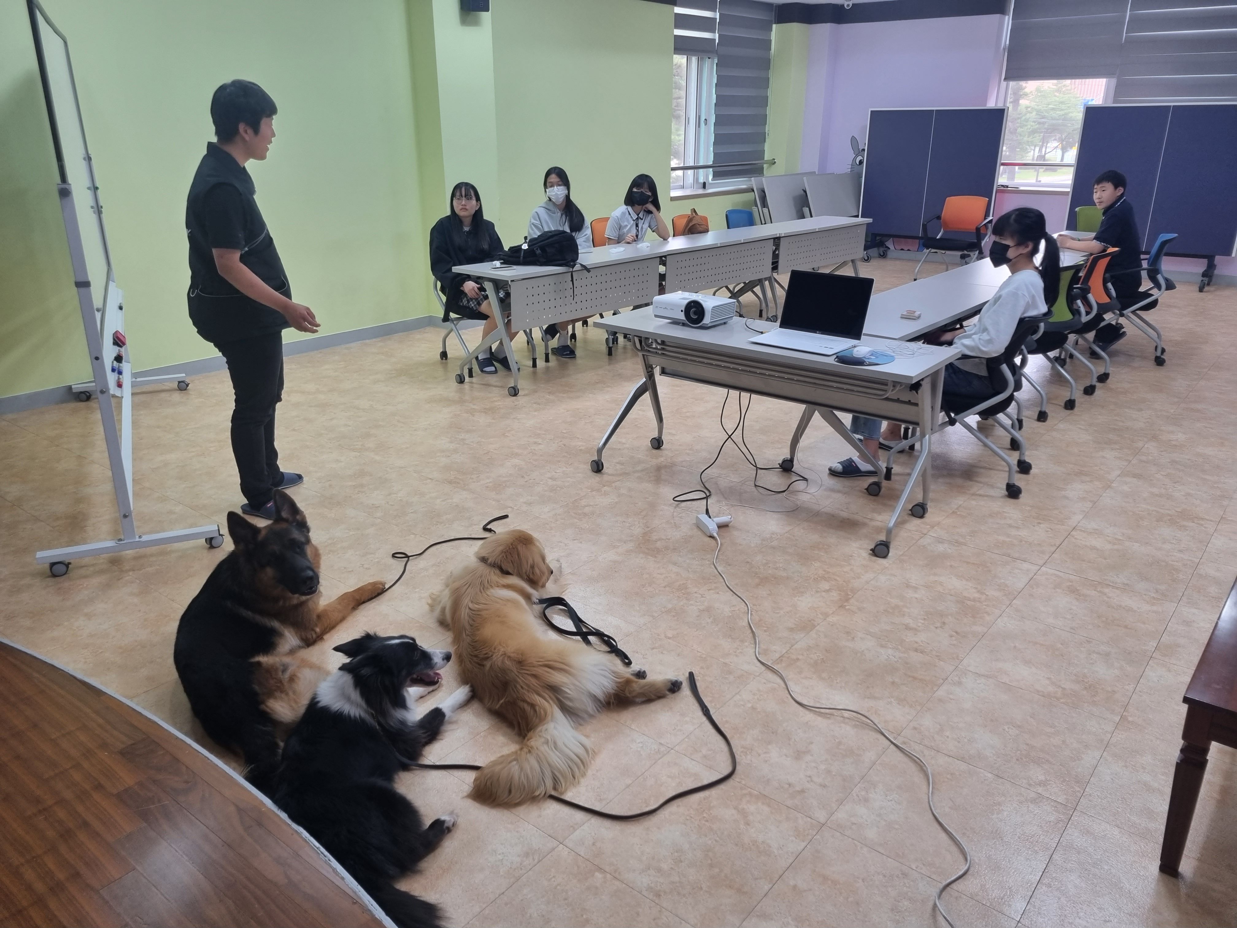 230525 동물행동교정 이미지4