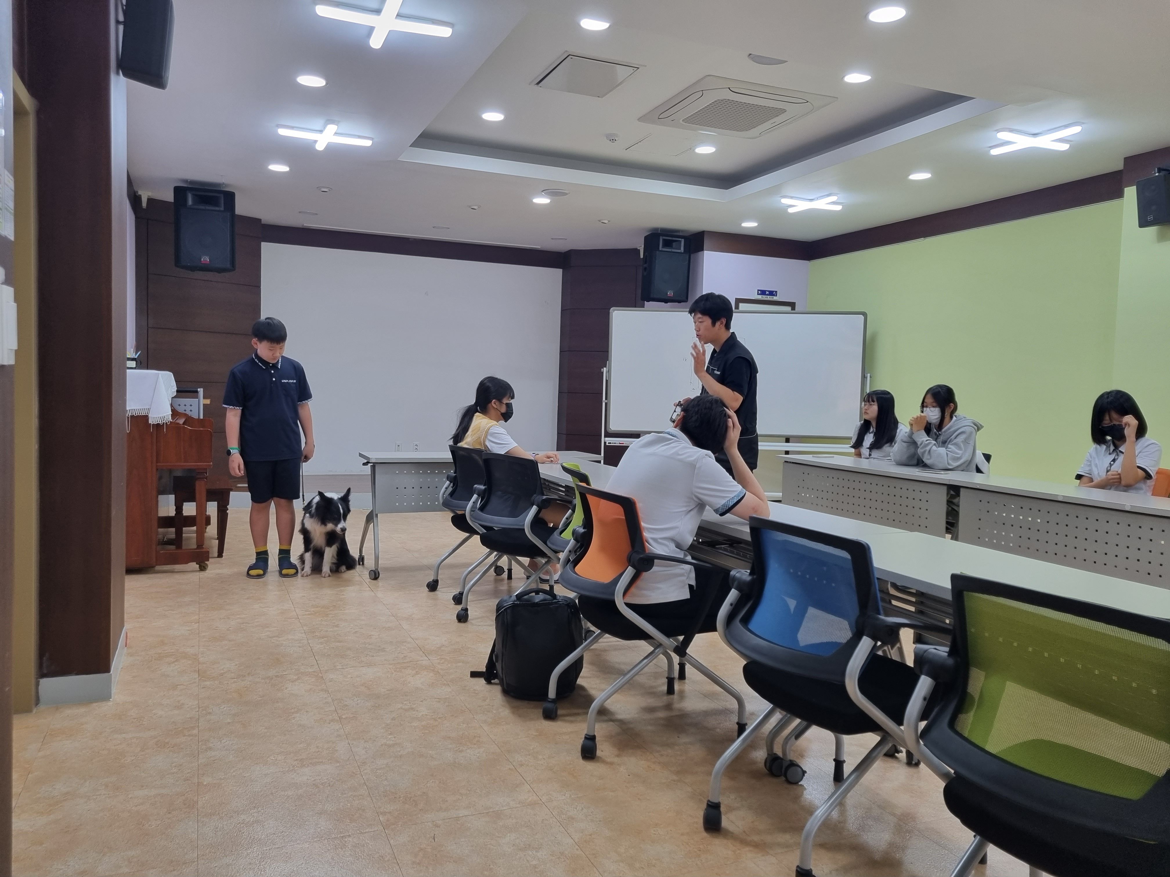 230601 동물행동교정 이미지4