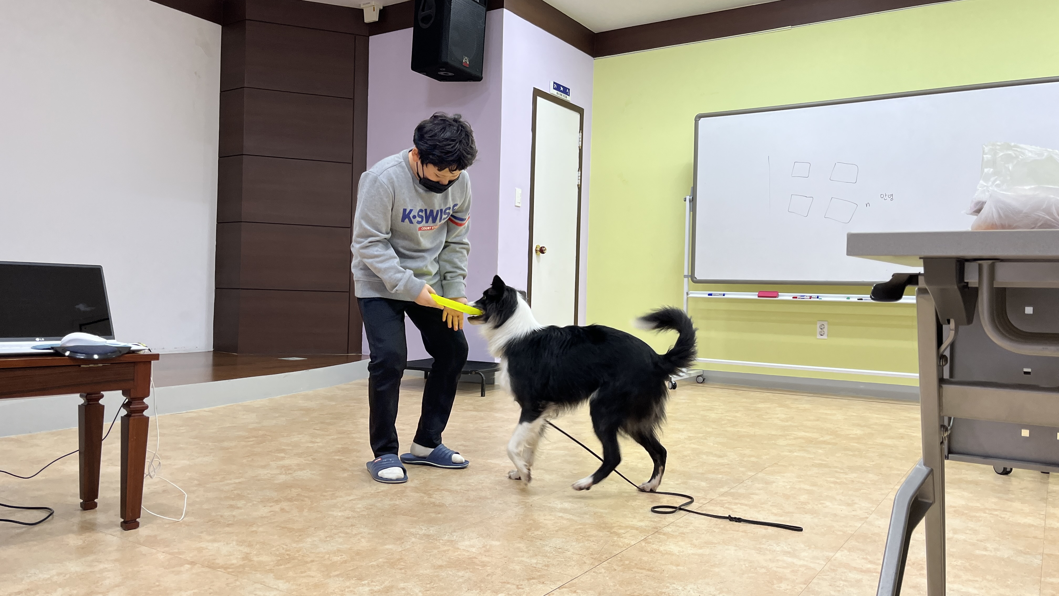 221117 반려견 이미지1