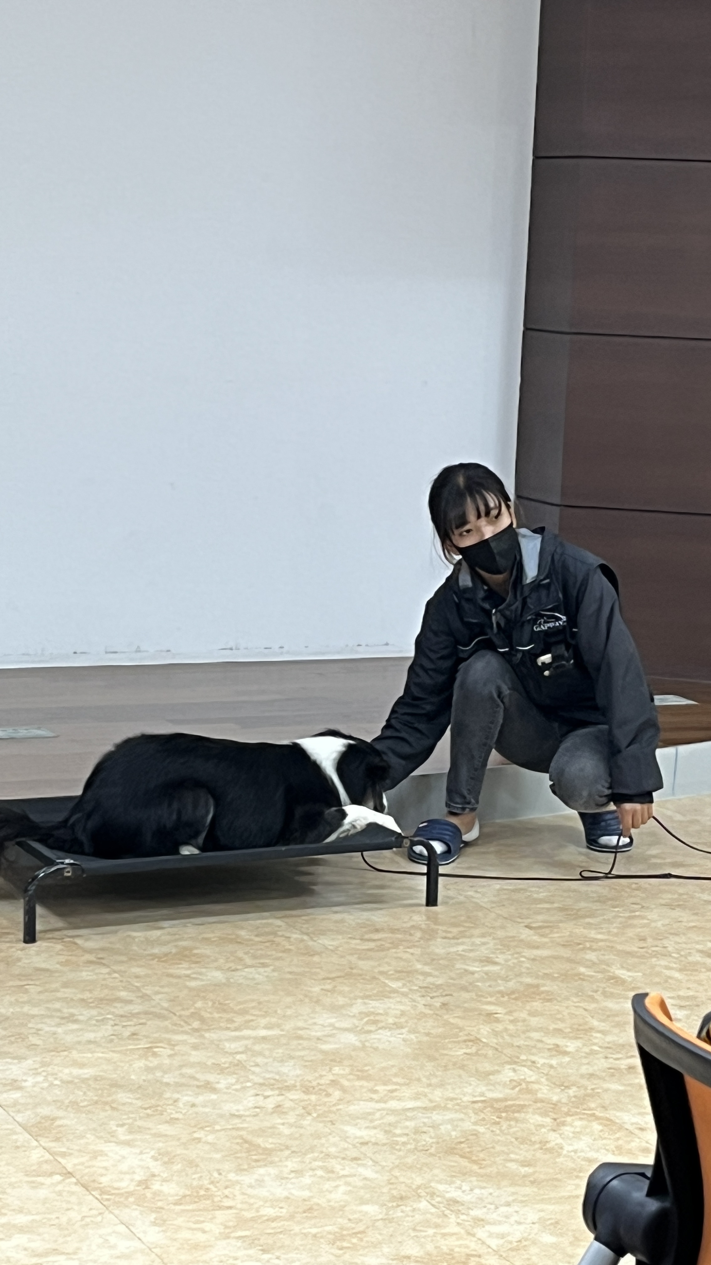 20220922 반려견 이미지4