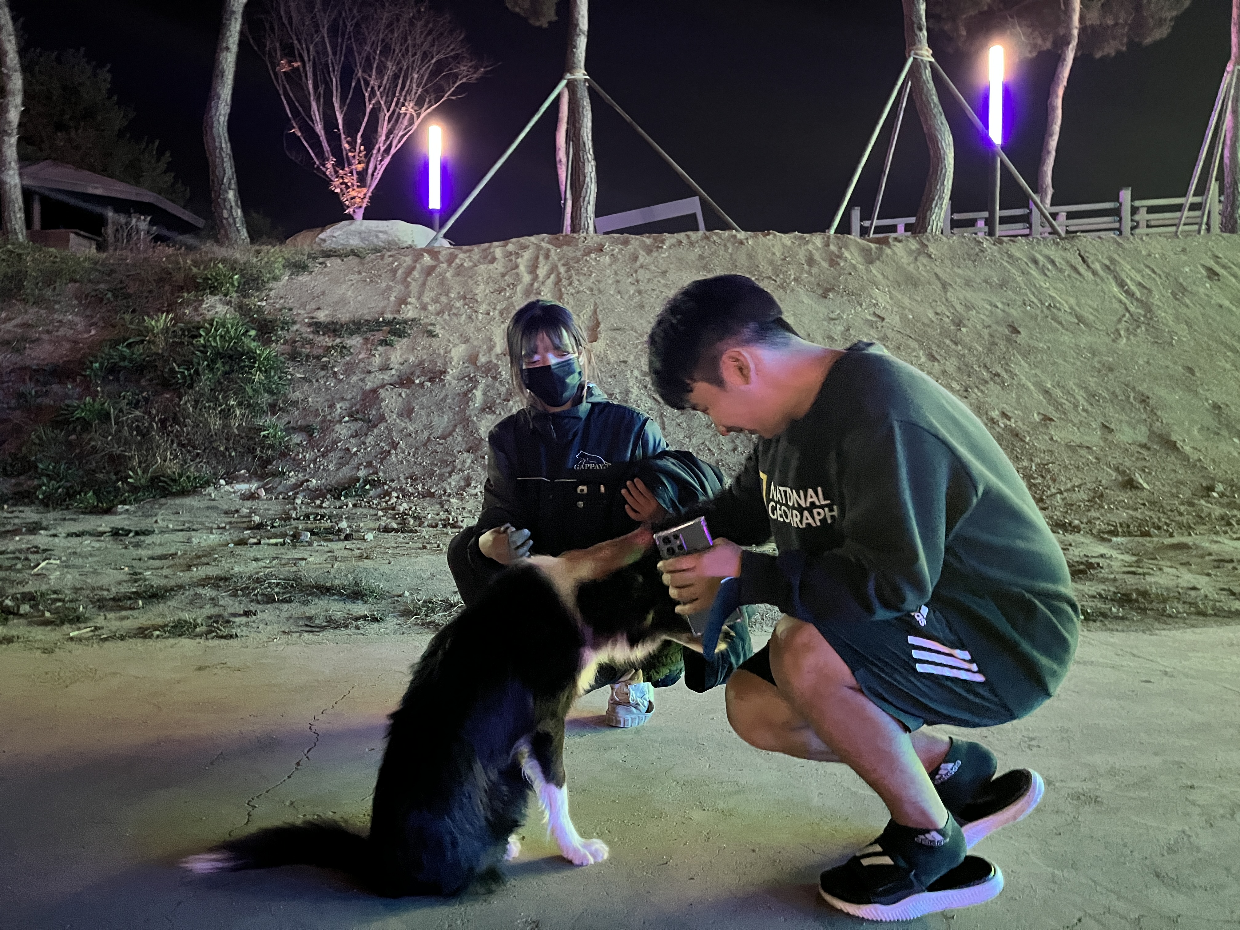 221103 반려견 이미지5
