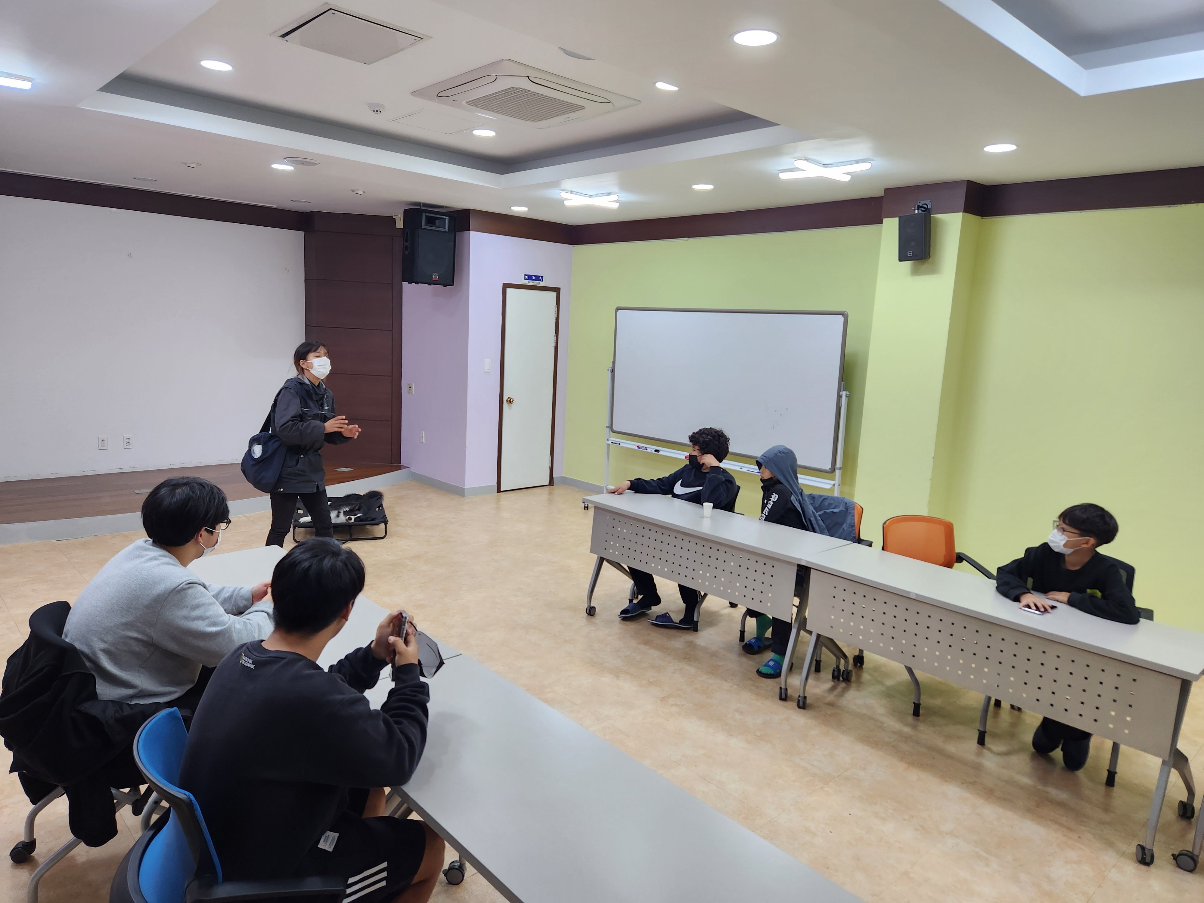 20221020 반려견 이미지1