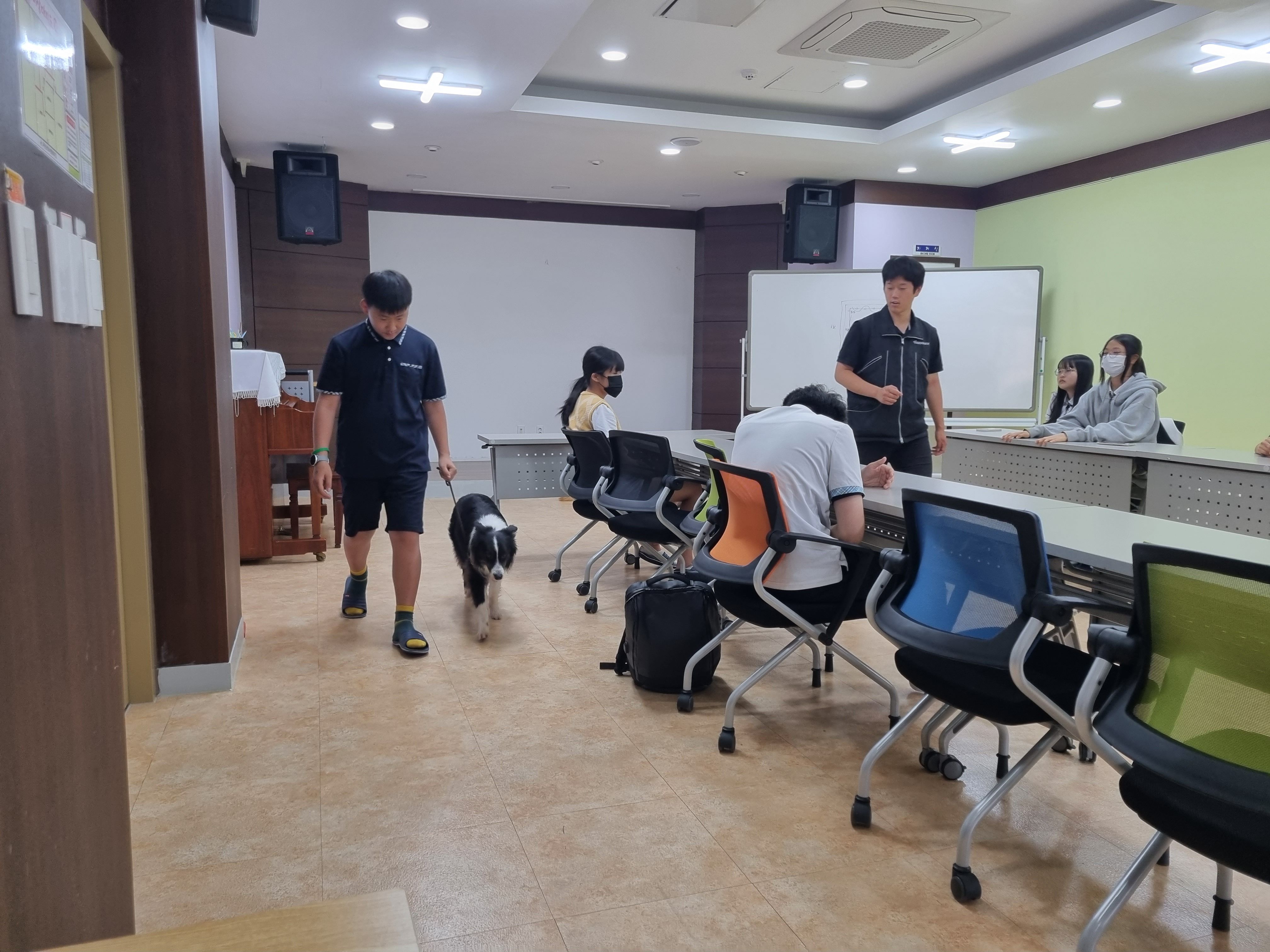 230601 동물행동교정 이미지3