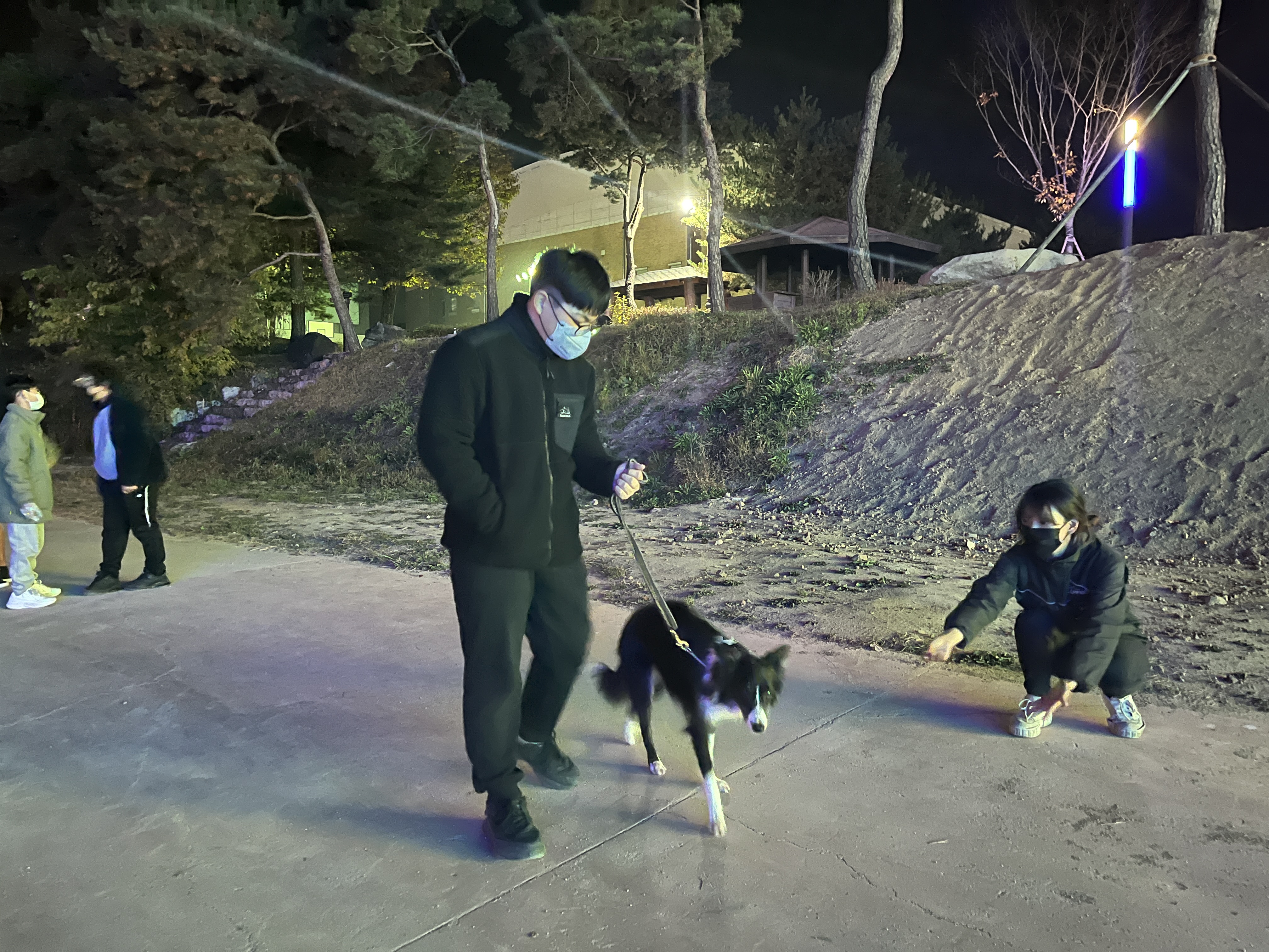 221103 반려견 이미지2