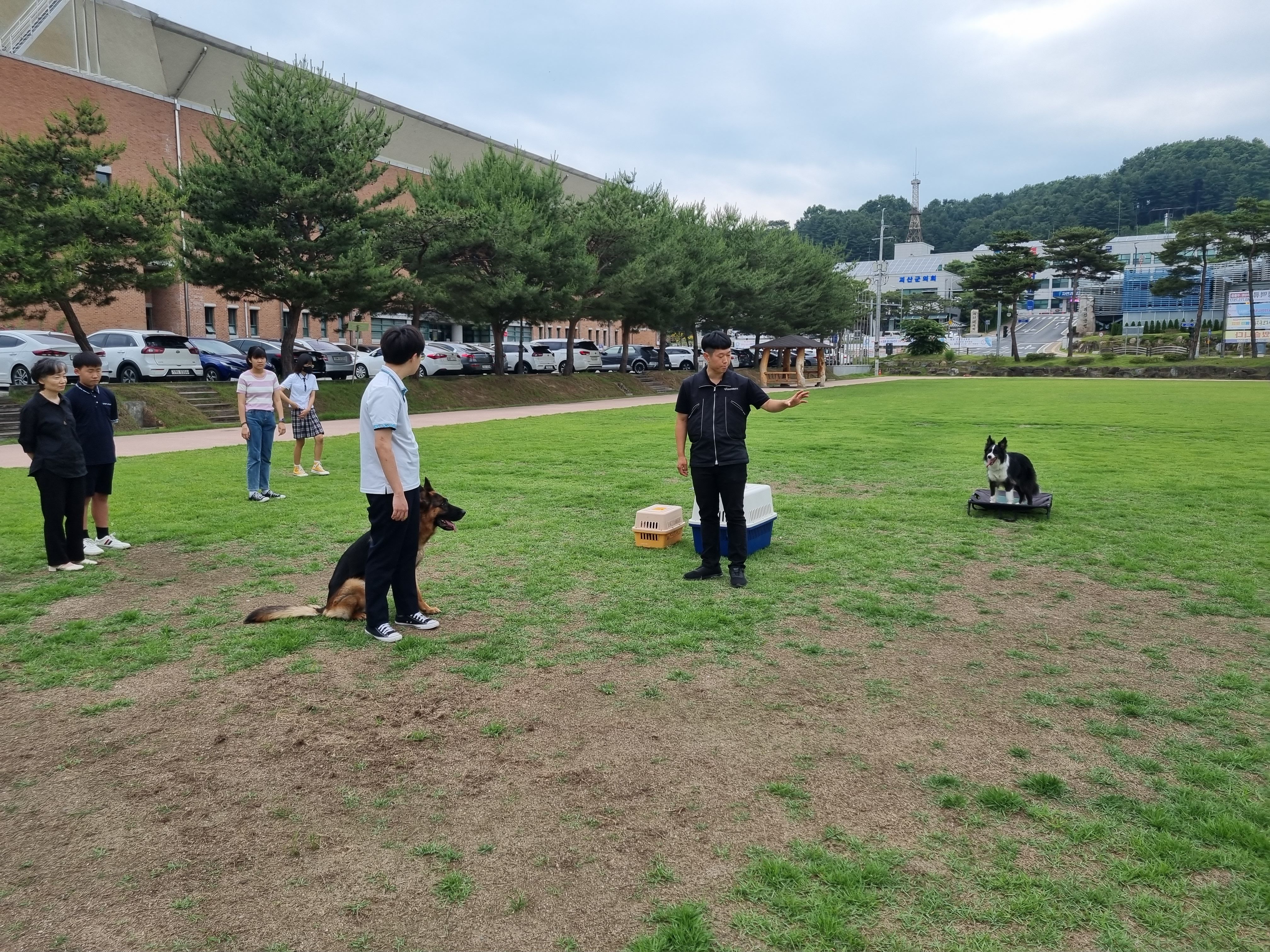230608 동물행동교정자격증 이미지4