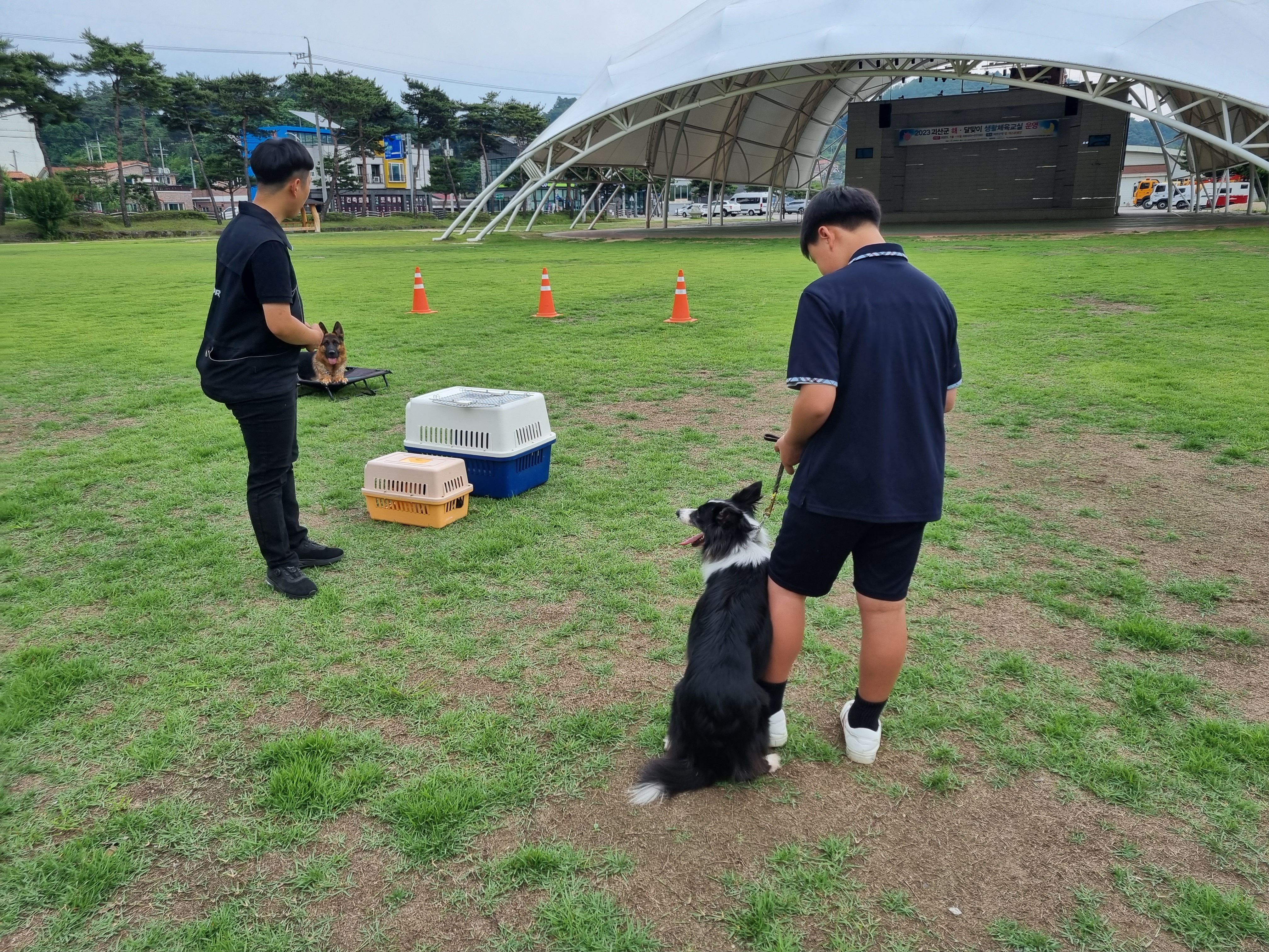 230608 동물행동교정자격증 이미지2