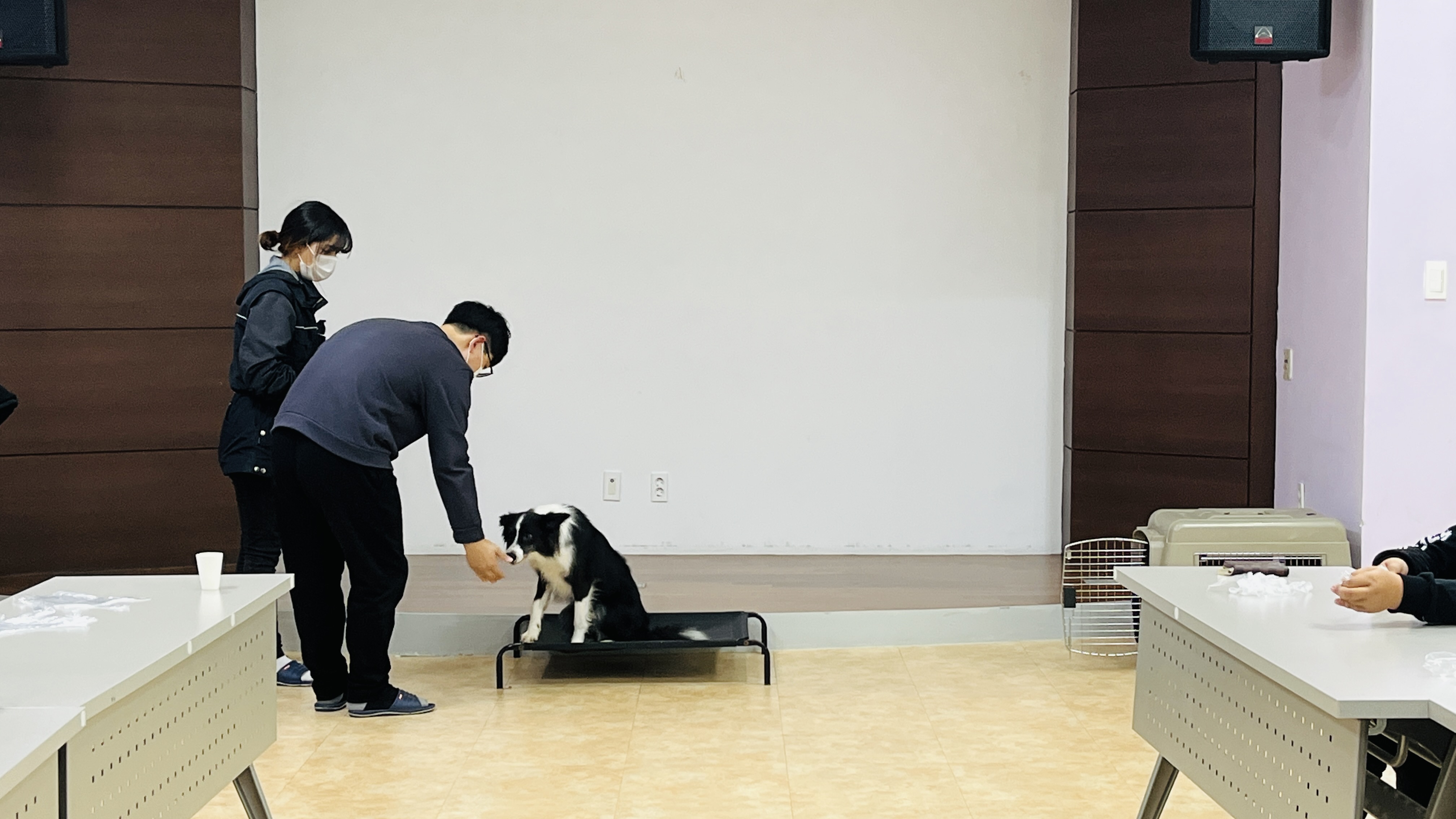 221110 반려견 이미지5