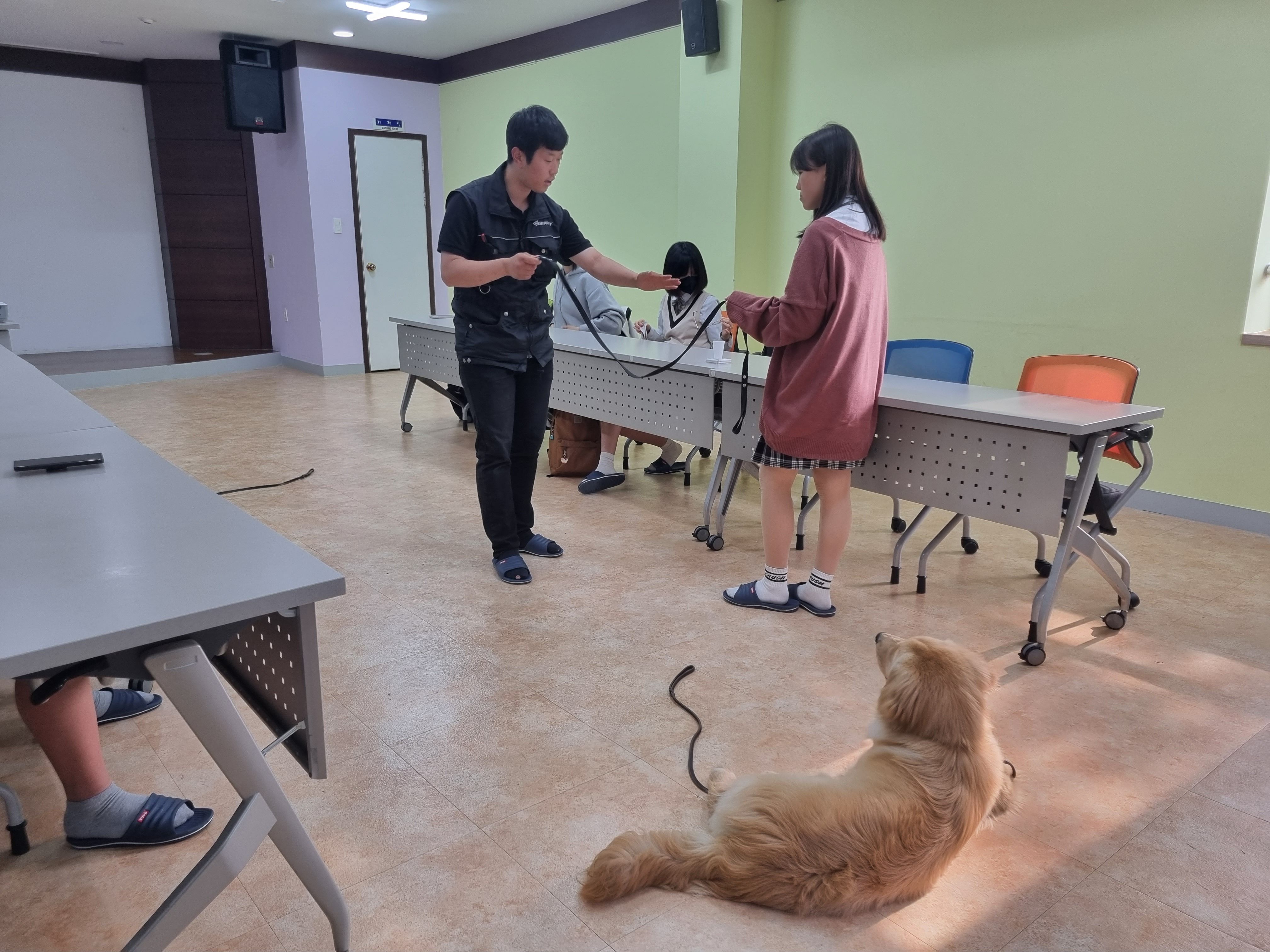 230511 동물행동교정 이미지4