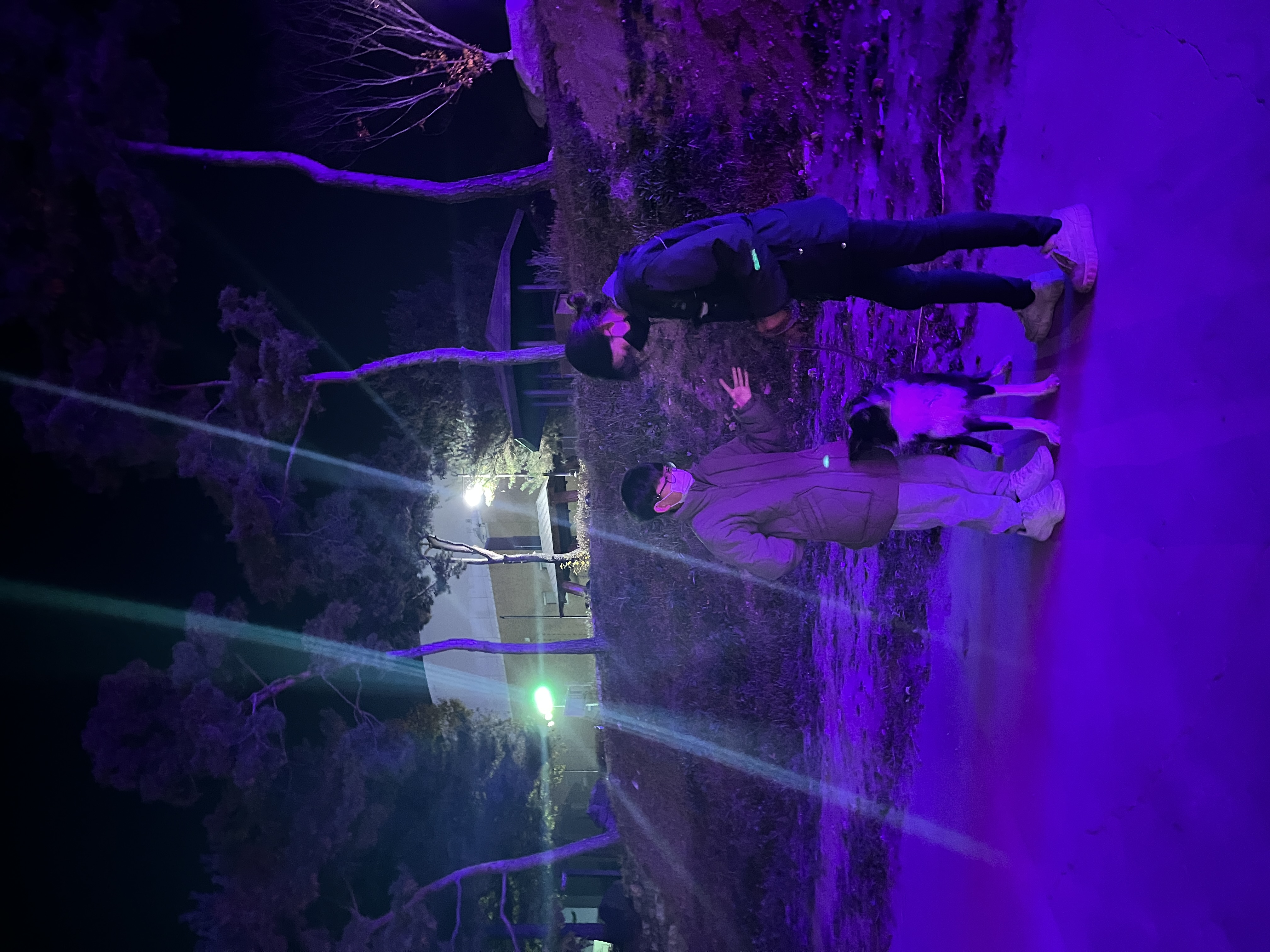 221103 반려견 이미지3