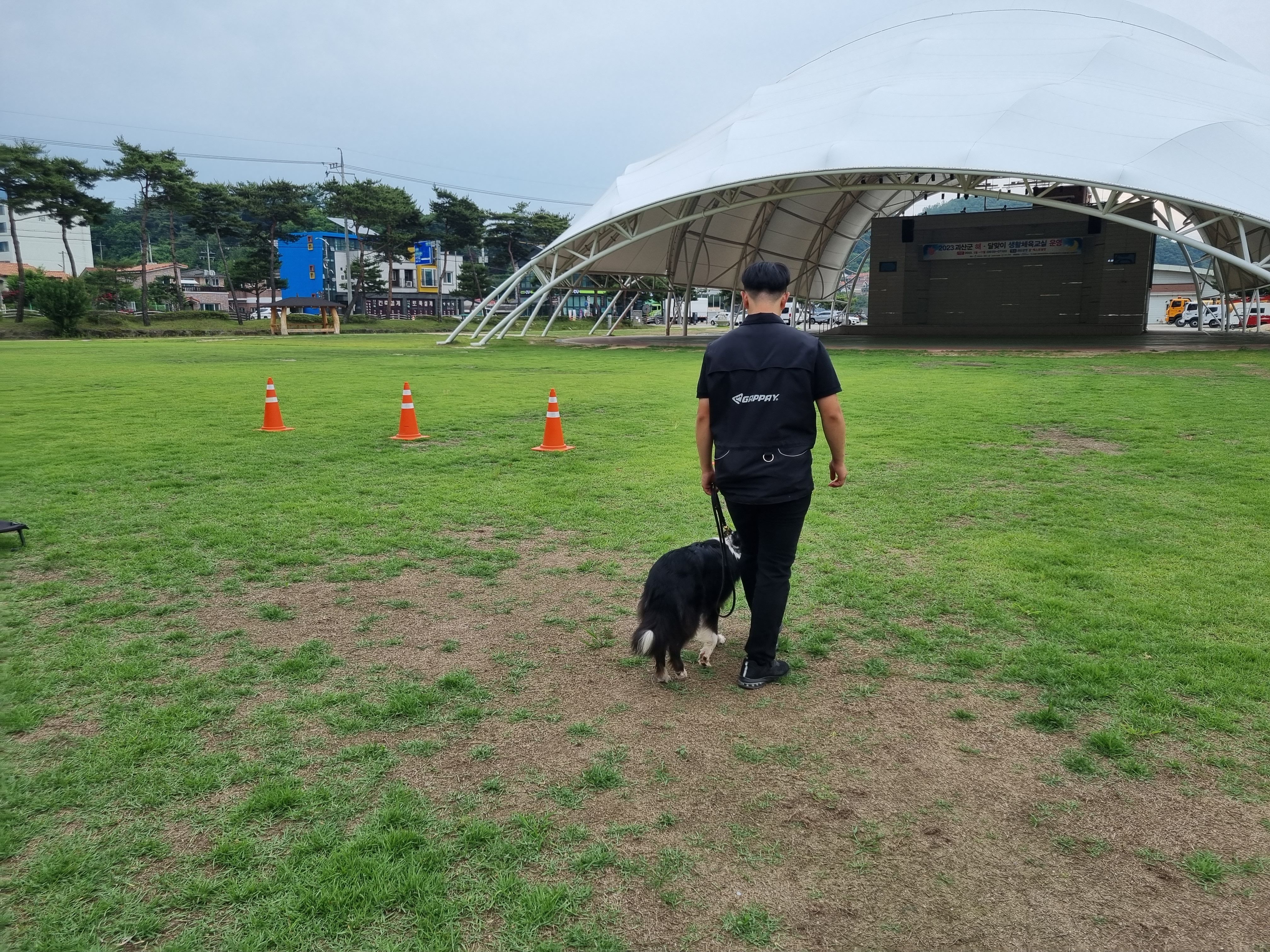230608 동물행동교정자격증 이미지1