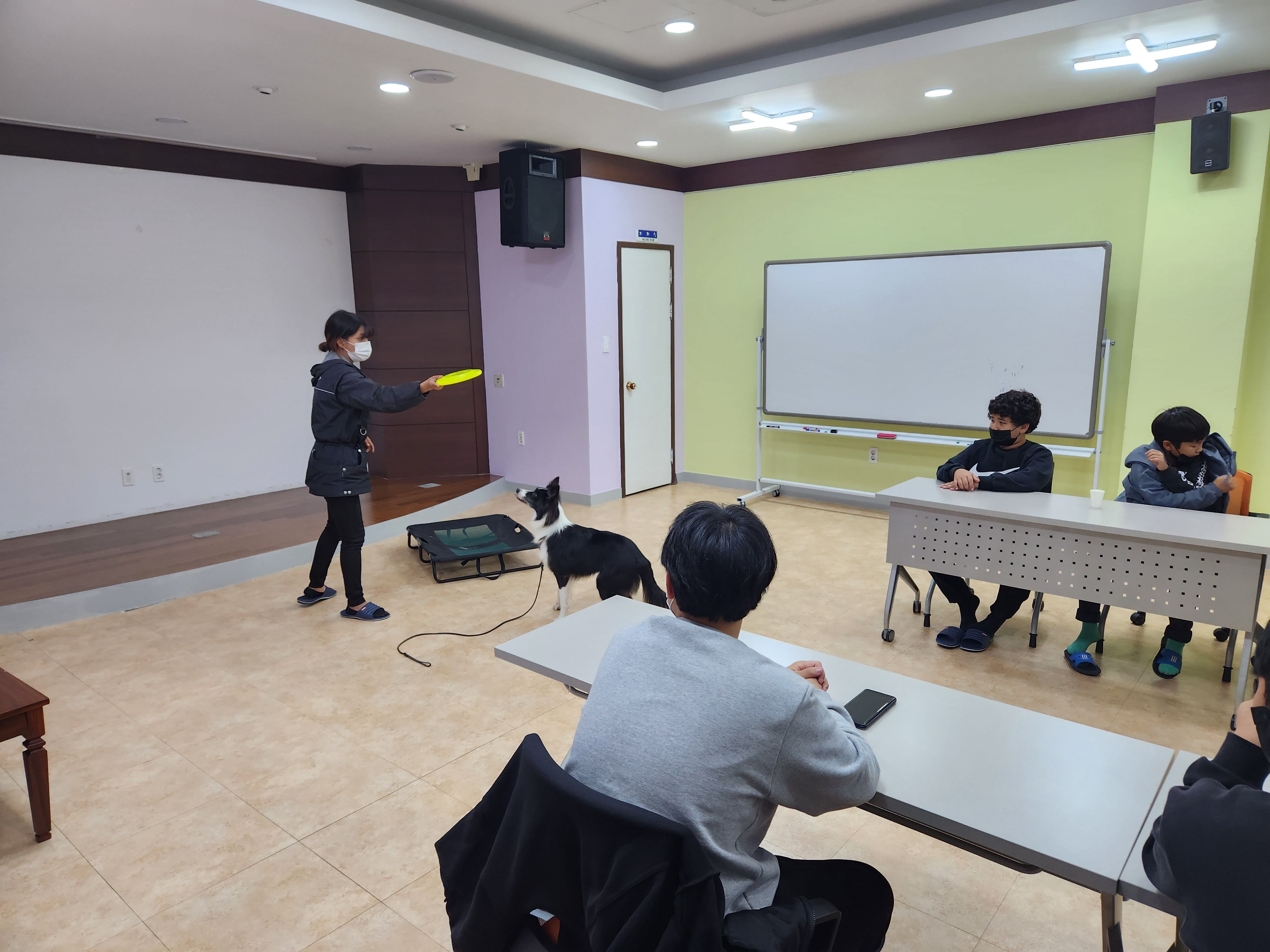 20221020 반려견 이미지3