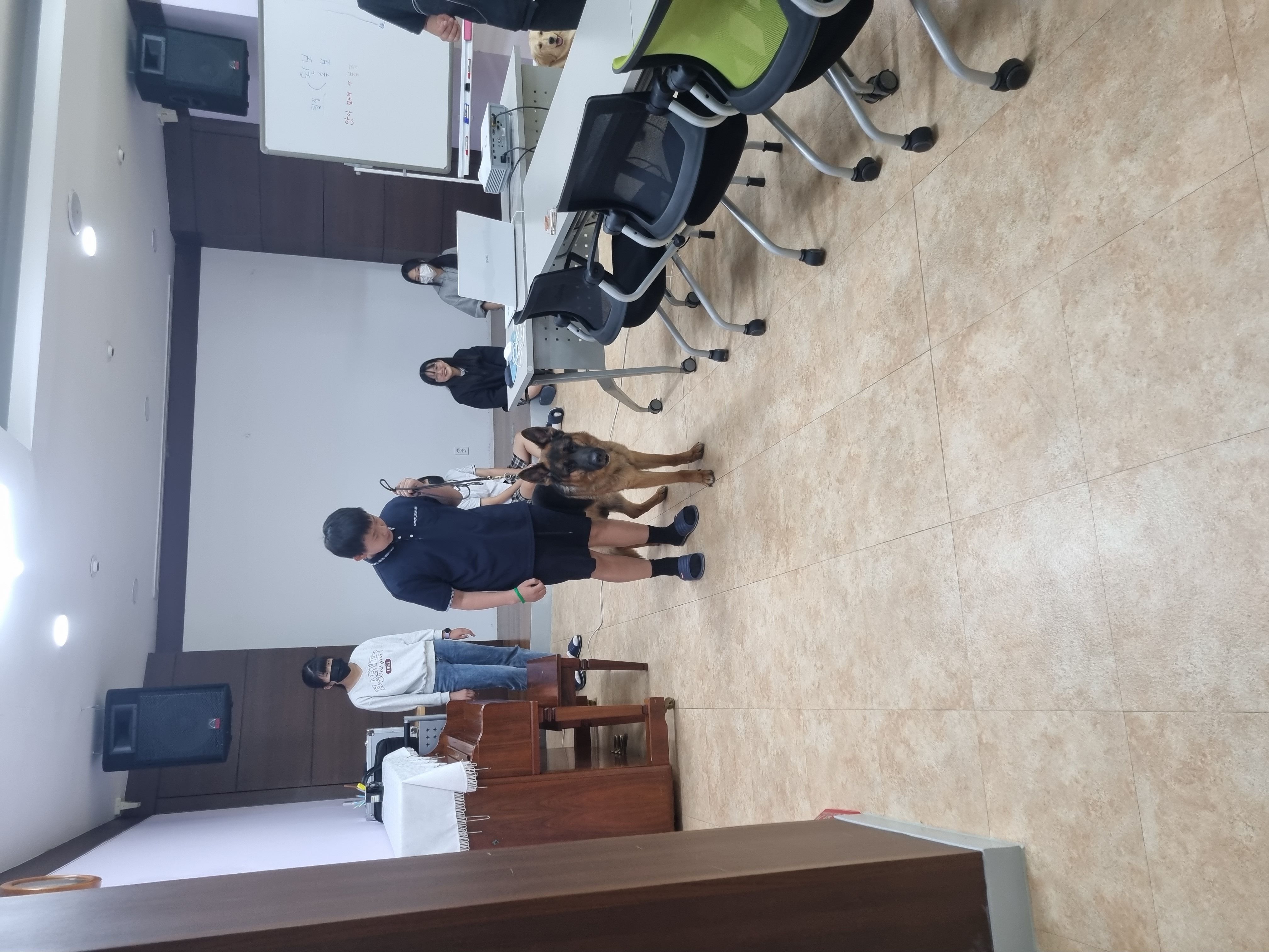230525 동물행동교정 이미지5