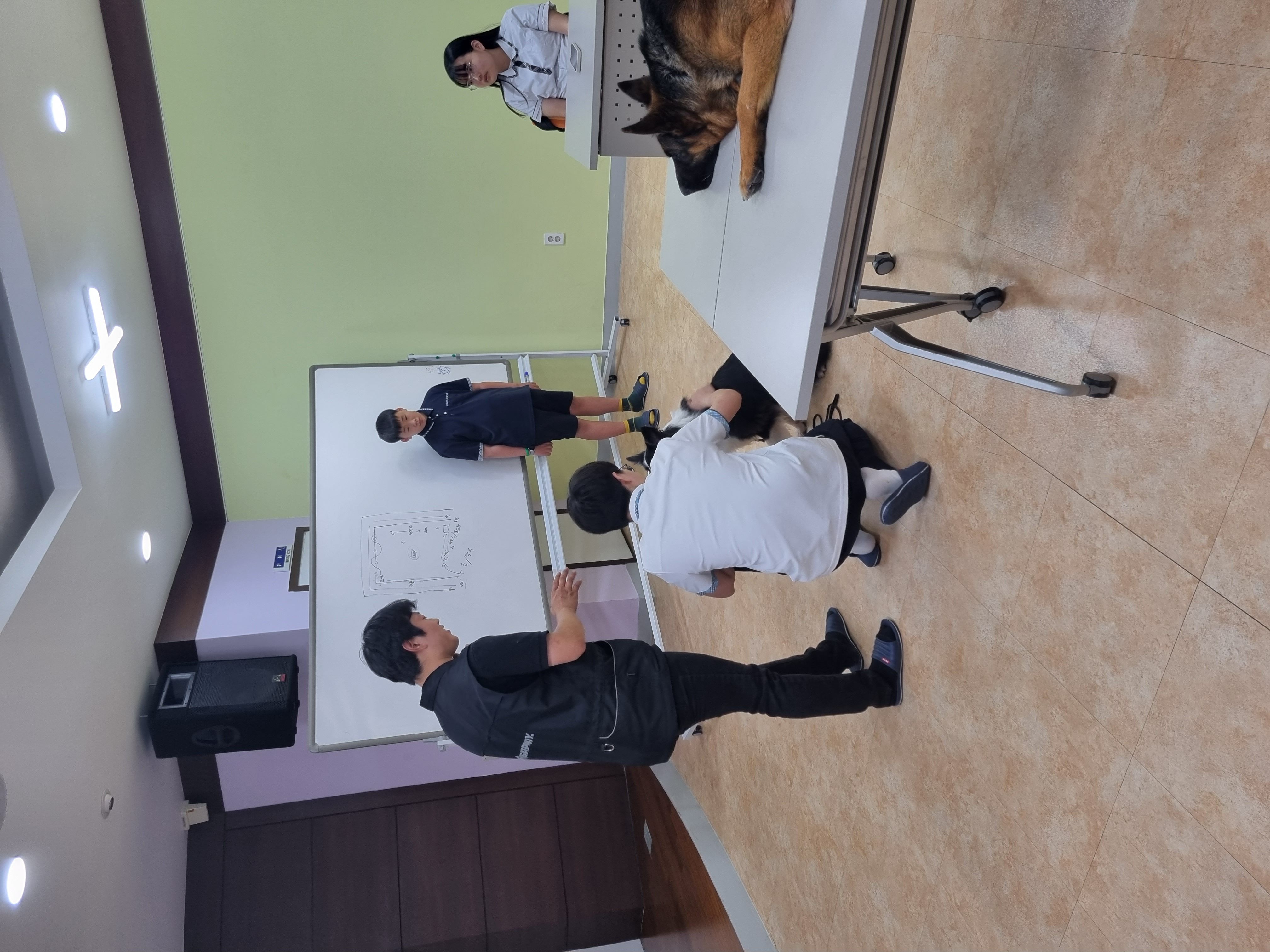 230601 동물행동교정 이미지5