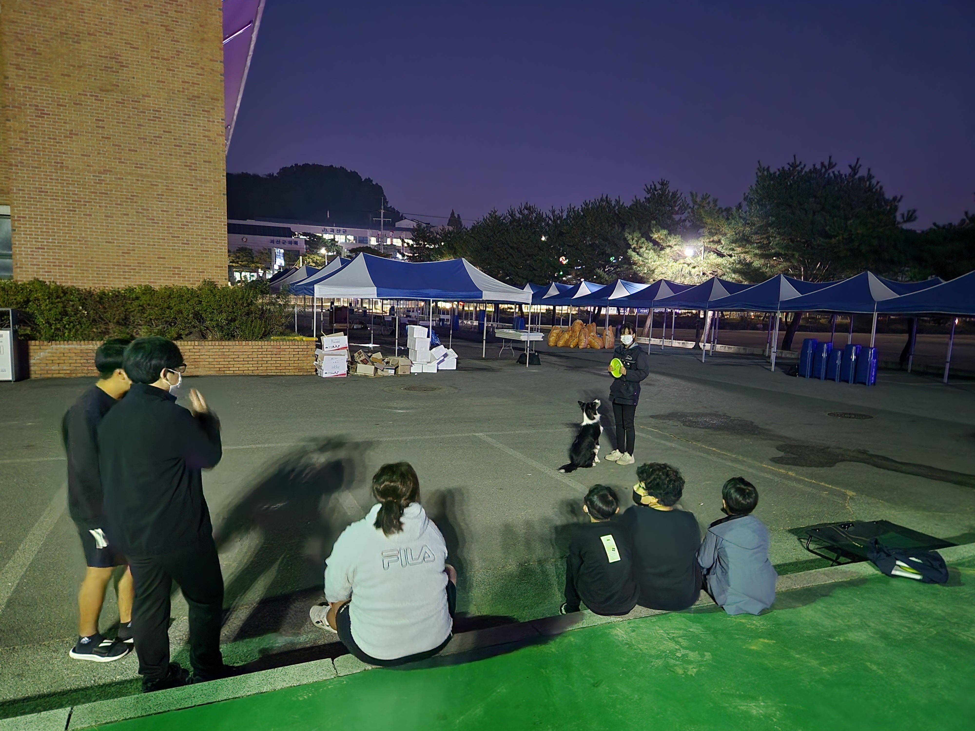 20221020 반려견 이미지4