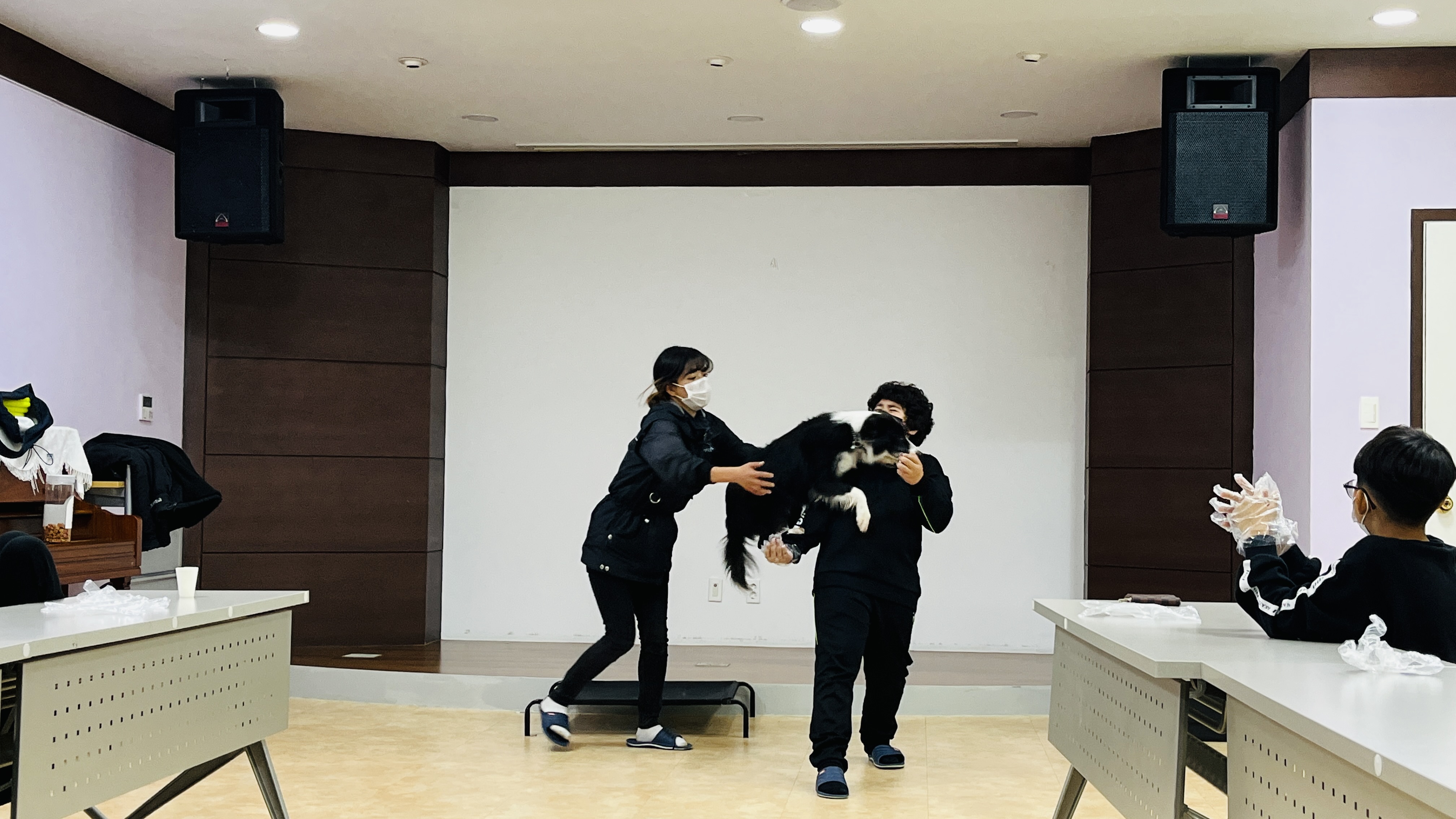 221110 반려견 이미지3