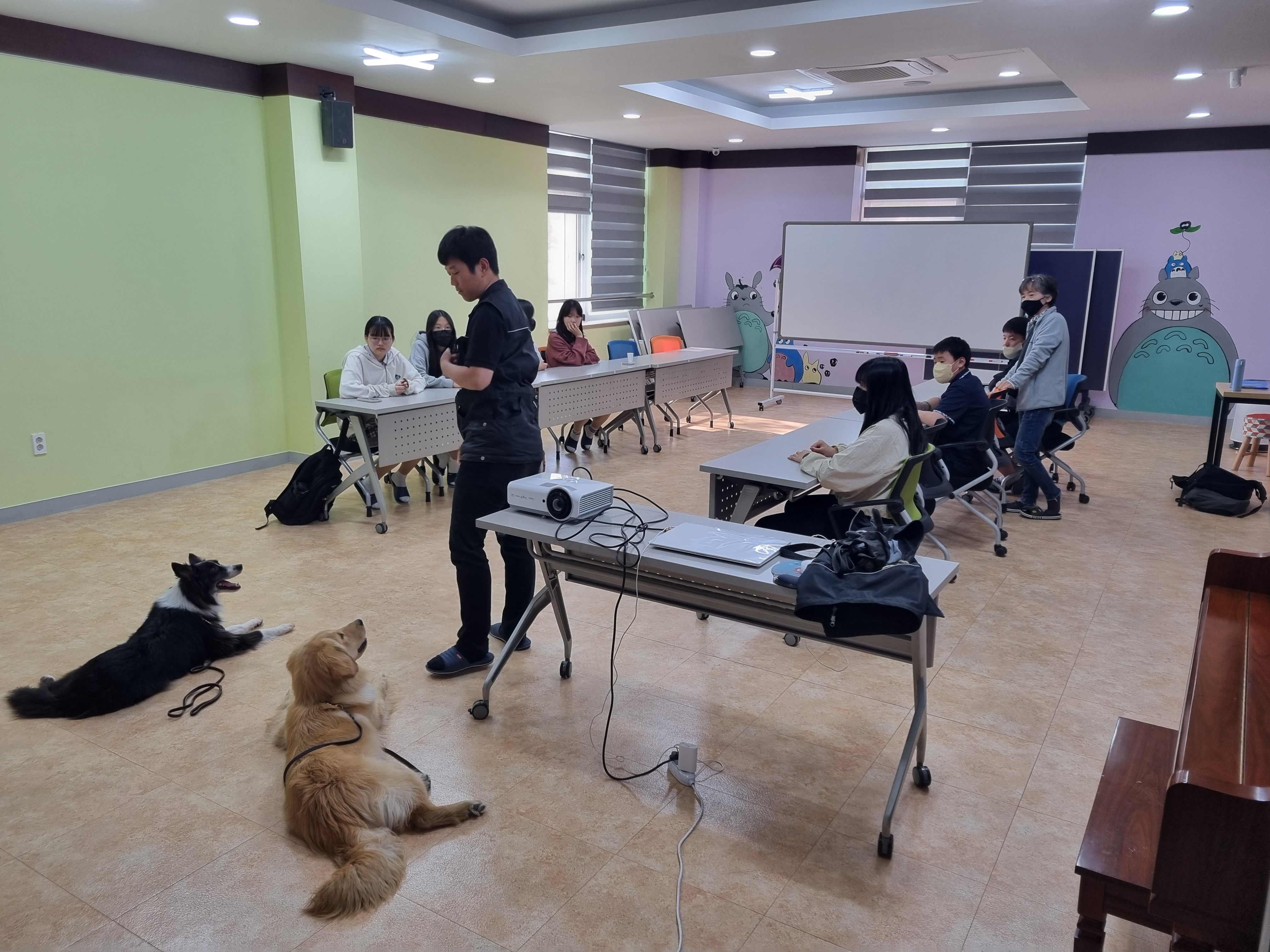 230511 동물행동교정 이미지1
