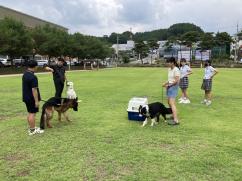 230622 동물행동교정자격증반
