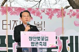청안면축제추진위원회, 봄꽃 따라 걷고 팝콘처럼 즐기는 ‘2026청안벚꽃길      팝콘축제’ 개최 이미지