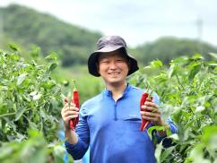 괴산청결고추 품평회, 장연면 이상규 농가 ‘대상’ 이미지