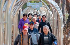 걷게 만드는 ‘500원의 마법’…괴산군 ‘걷기 재테크’가 바꾼 일상 이미지