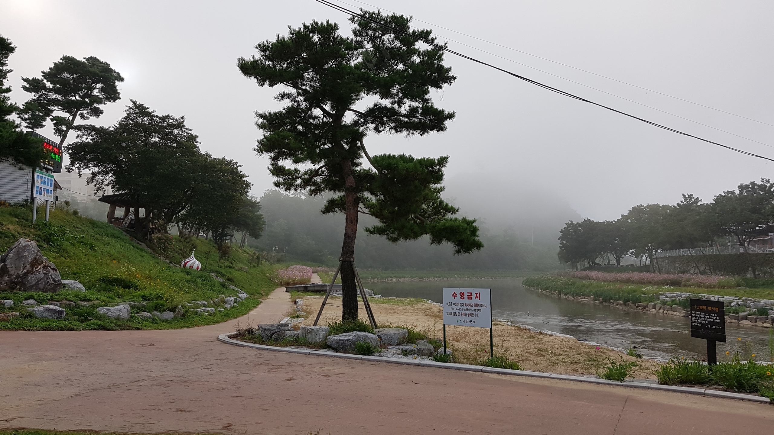 동진천 코스모스꽃이 만발했어요 이미지6