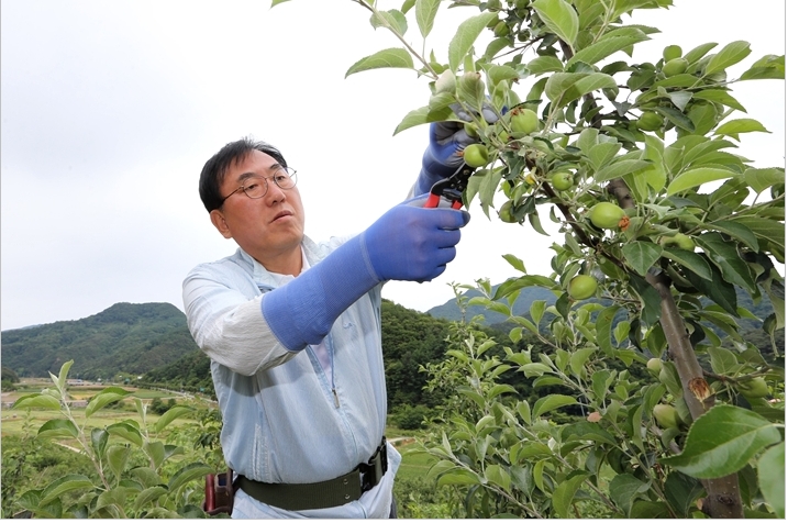 나용찬 군수 농촌일손돕기에 나서다