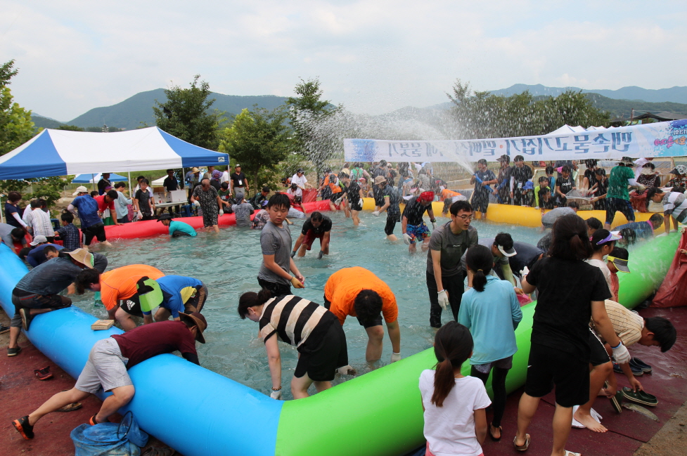 제13회 청천환경문화축제 행사 이미지5