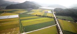 2017년 괴산군 홍보동영상입니다.