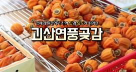 당도 높은 괴산연풍곶감