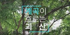 괴산 계곡으로 오세요 :) (UCC)