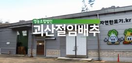 괴산시골절임배추 (UCC)