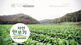 유기농업군 괴산 명품~ 시골절임배추!!