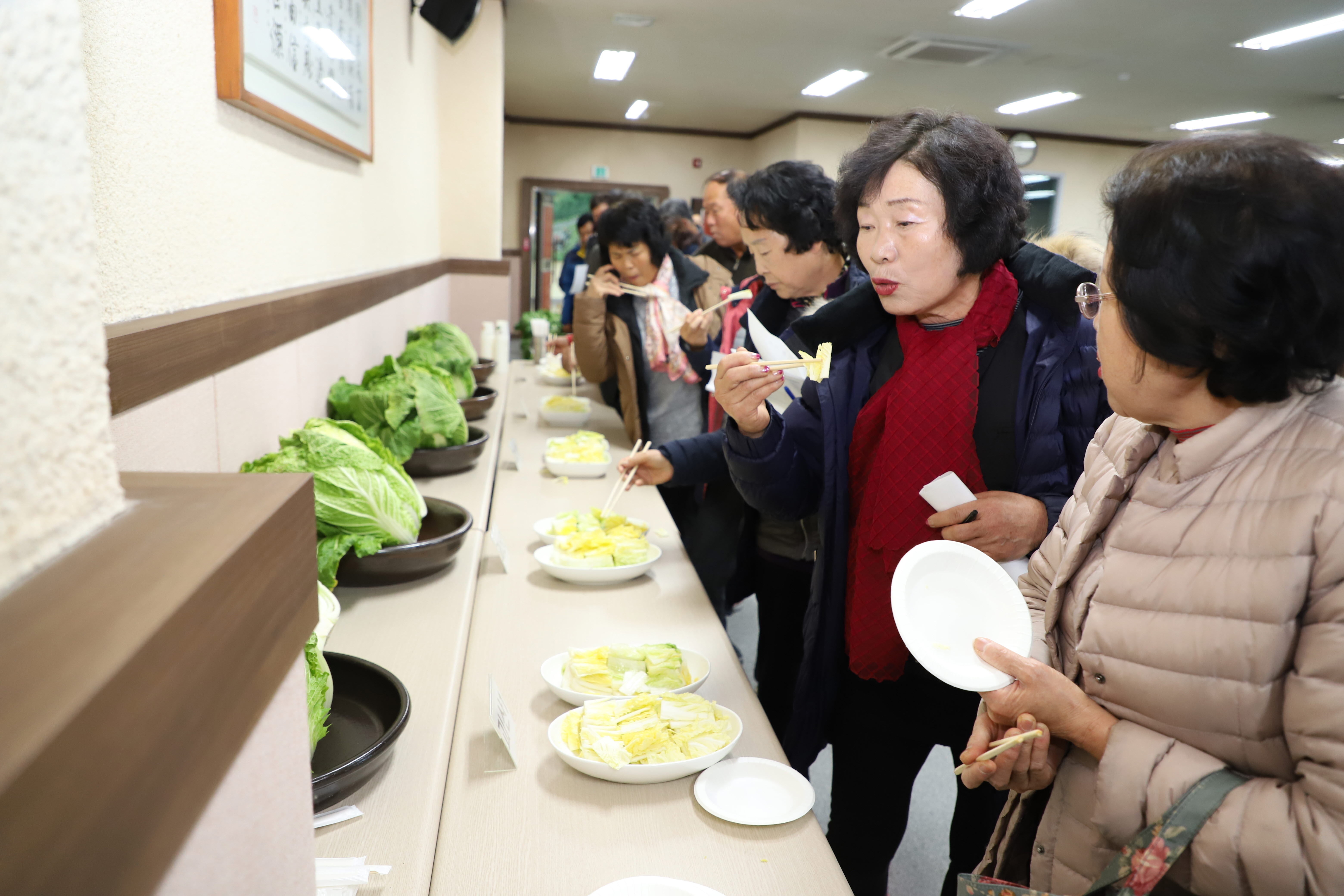 괴산군, 배추 실증시험 결과 평가회 개최 이미지2