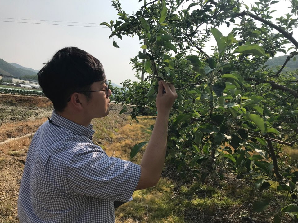 괴산군, 돌발해충 예찰조사 실시 이미지1