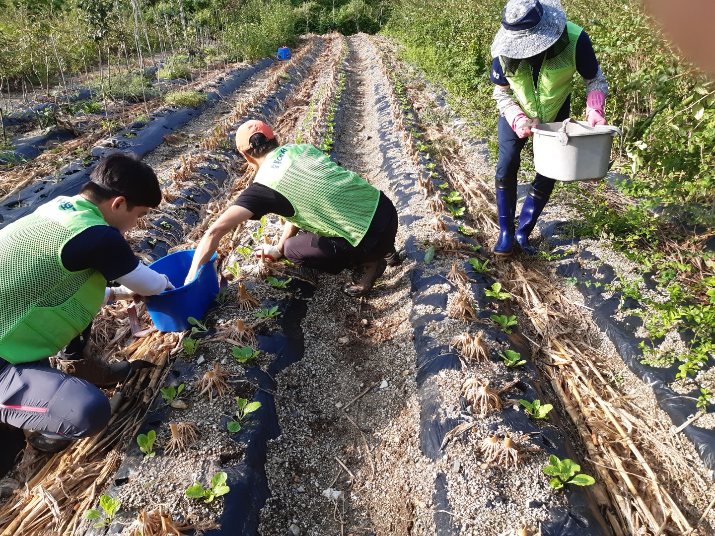 괴산군  충북에서 살아보기 본격 추진 이미지1