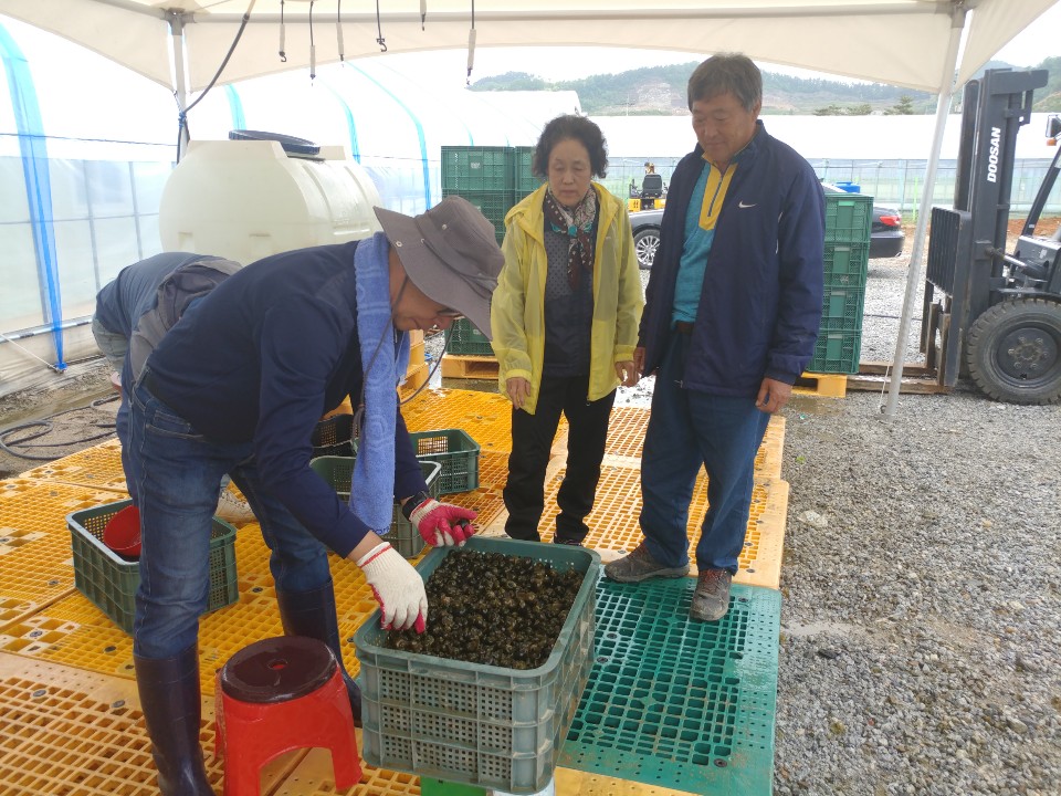 괴산군, 우렁이 공급 추진...친환경 농업 돕는다 이미지2