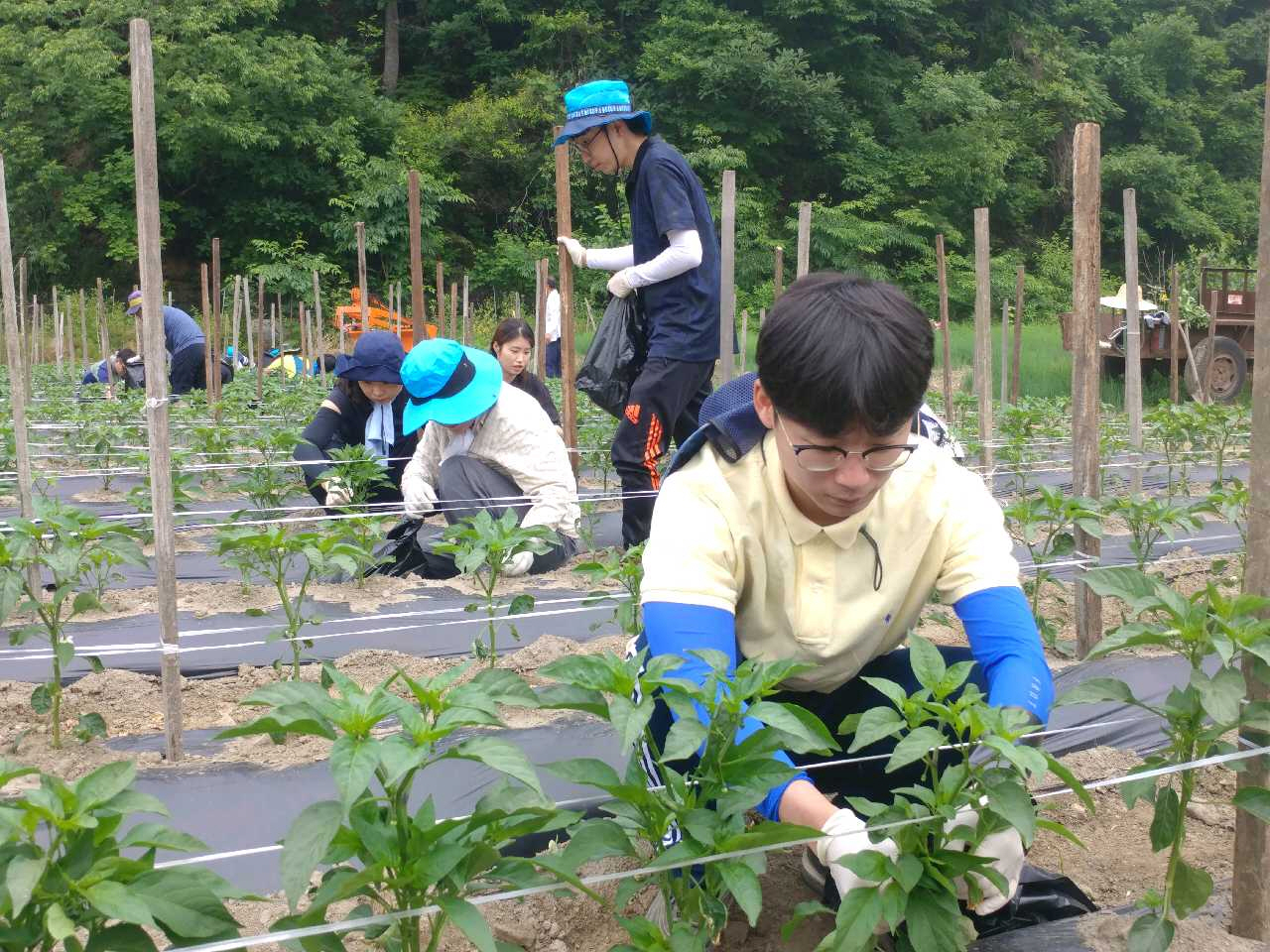 농업인과 함께하는 괴산군 농업기술센터 이미지1